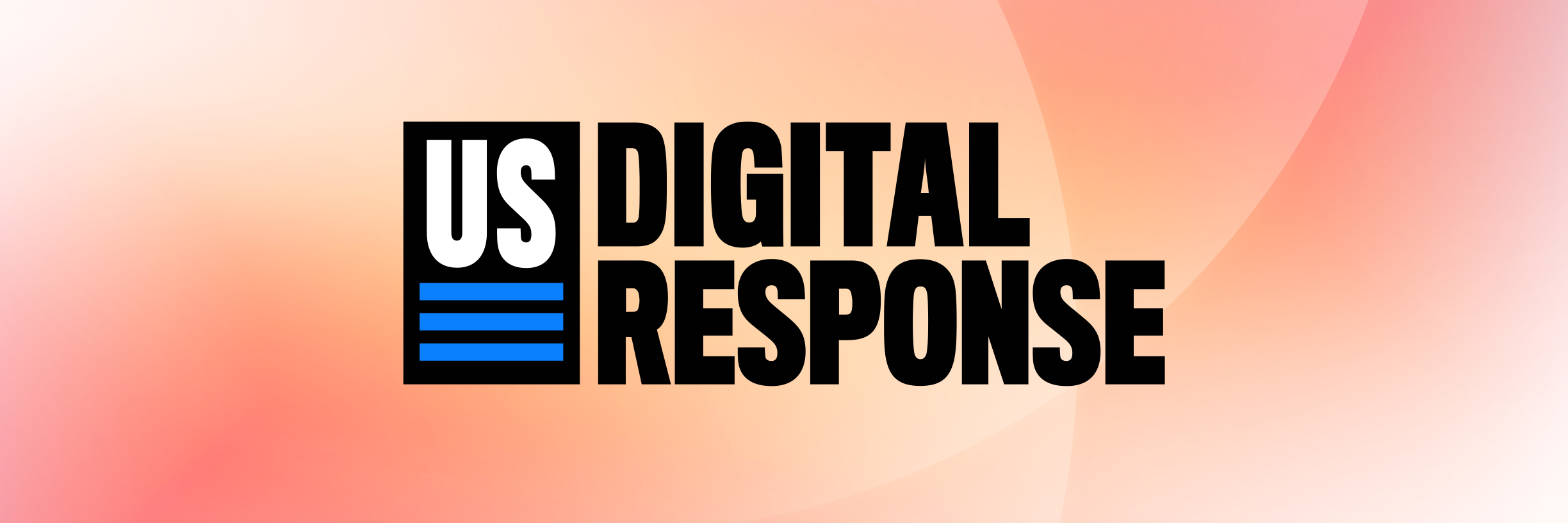 U.S. Digital Response Voter Services Strategy